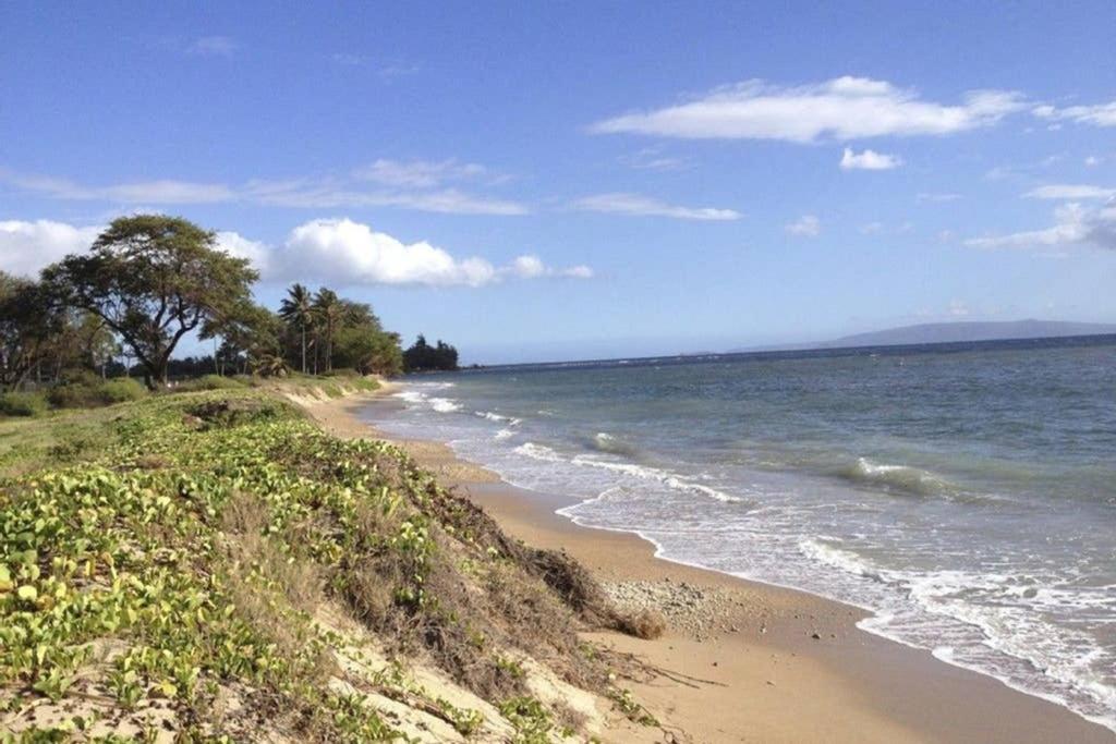 Oceanfront Penthouse With Amazing Views At Kauhale Makai Appartement Kihei Buitenkant foto