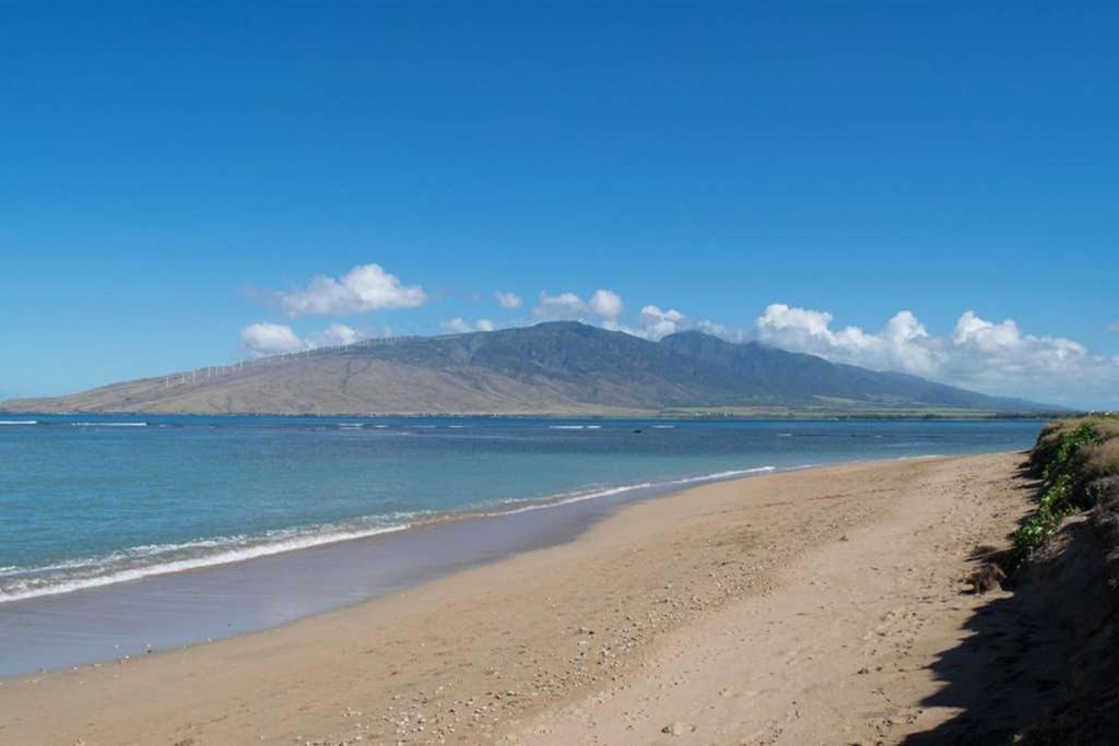 Oceanfront Penthouse With Amazing Views At Kauhale Makai Appartement Kihei Buitenkant foto
